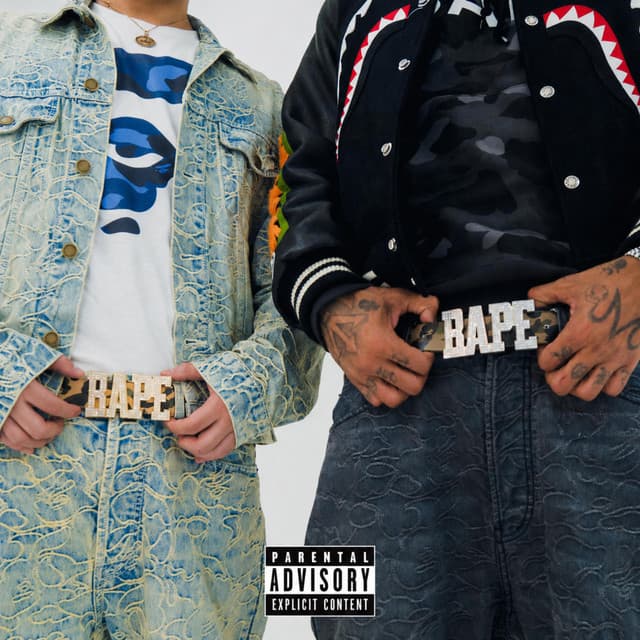 APE SH*T - AKTHESAVIOR, Leon Fanourakis カバー画像